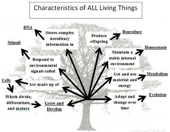 what are the 8 characteristics of all living things