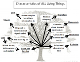 8 Characteristics of Life Tree Graphic Organizer