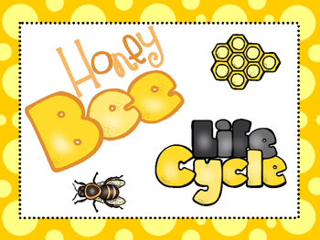 Preview of 8 Honey Bee Life Cycle Printable Posters Anchor Wall Charts.