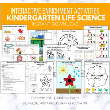 Preview of 8 Life Science Kindergarten Science Activity, NGSS standards, Labs, Games