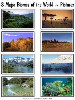 8 Major Biomes of the World {13 pages including a quiz with answer key}