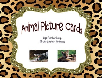 Preview of 80 Animal Picture Cards