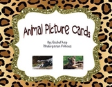 80 Animal Picture Cards