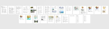 Preview of 80 World Geography Quiz and Test Questions-Physical Geography and Human Geo