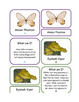 Preview of 89 Animals of the Rain Forest "What Am I?" Educational Card Game *Montessori*