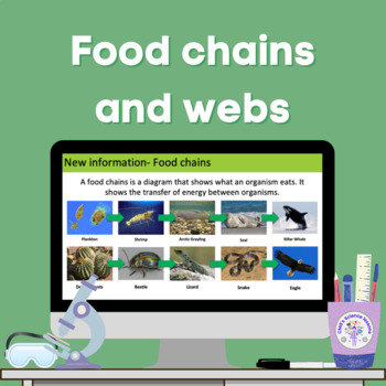 9.1.1 Food chains and webs (AQA KS3 Activate 1) by CMG Education Resources