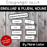 9-12 Montessori: Singular and Plural Nouns