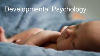 Preview of Developmental Psychology Bundle (AP Psychology)