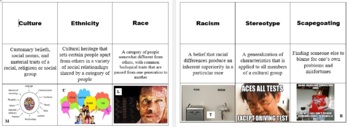 Preview of 9 Vocabulary Game for Cultural Diveristy (Corrections/Law Enf)
