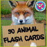 90 Animal Flash Cards - Real Photos of Animals