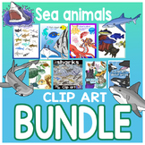 105 Sea animals clip art BUNDLE