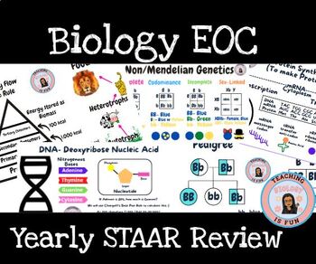 Preview of 9th Grade Biology Full Year-STAAR EOC Review Science UIL
