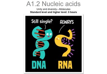 Preview of A 1.2 Nucleic Acids IBDP biology kit - presentation and guided note book
