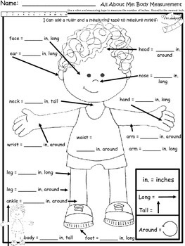 All About Me Measuring