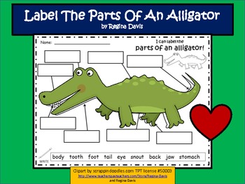 Aneddoti Imparare Attività Riutilizzabile Alligator A4 Tema Adesivo Libri 