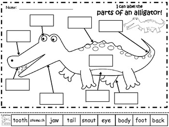 Riutilizzabile Alligator A4 Tema Adesivo Libri Aneddoti Imparare Attività 