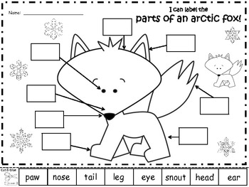 A+ Arctic Fox: Label The Parts Of The Arctic Fox by Regina Davis