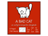 A Bad Cat kindergarten sight word storybook