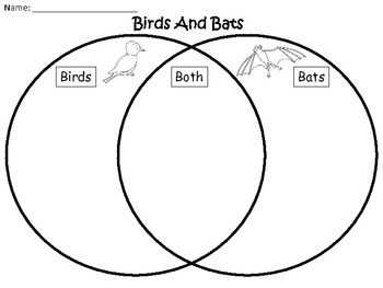 A+ Bats And Birds Comparison by Regina Davis | Teachers Pay Teachers