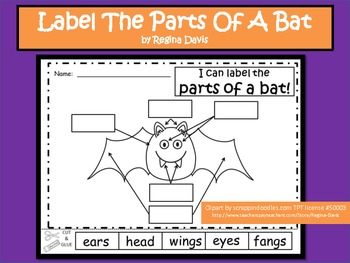 Preview of A+ Bats:  Label The Parts Of A Bat