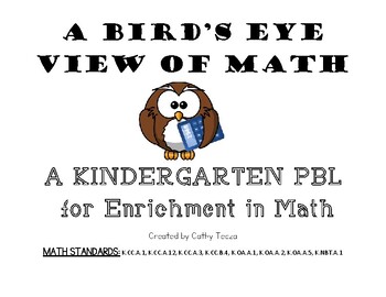 Preview of A Bird's Eye View of Math