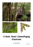 A Book About Camouflaging Creatures