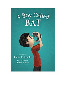 Preview of A Boy Called Bat Trivia Questions