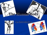 A Brief Intro to Human Body Systems