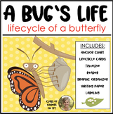 A Bug's Life Butterfly Science Lifecyle for Kindergarten &