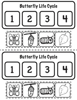 A Butterflies Life Cycle Kids Edition (Half sheet printouts) by SLSDesigns