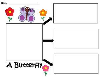 A+ Butterfly... Three Graphic Organizers by Regina Davis | TpT