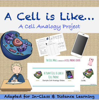 A Cell Analogy Project With Options Distance Learning By Brilliant Dust
