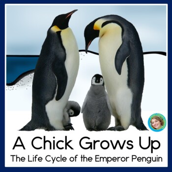 Preview of Life Cycle of a Penguin Guided Reading Comprehension Book Vocabulary Posters