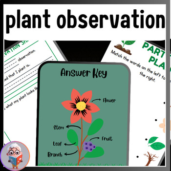 Preview of A Comprehensive Plant Observations Workbook for Kids PDF