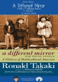 A Different Mirror (For Young People)- Book Study