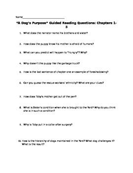 Preview of A Dog's Purpose Guided Reading Questions