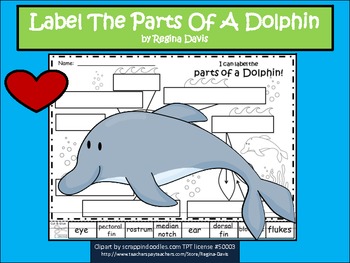 A+ Dolphin Labels by Regina Davis | Teachers Pay Teachers