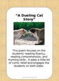 A Dueling Cat Story