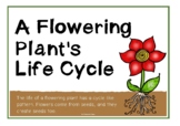 A Flowering Plant's Life Cycle Information Poster Set/Anch