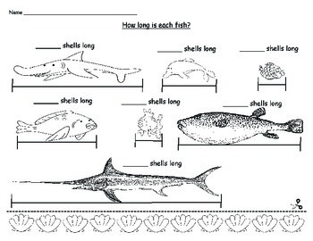 How to Measure a Fish 