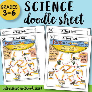 Preview of A Food Web - Doodle Sheet - SO EASY to Use! PPT Included!