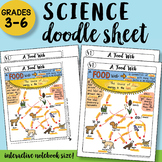 A Food Web - Doodle Sheet - SO EASY to Use! PPT Included!