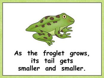A Frog's Life Shared Reading- Kindergarten- Life Cycles by Melissa Williams