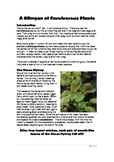 A Glimpse at Carnivorous Plants: A Thematic Notebooking Unit