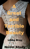 A Great and Terrible Beauty Novel Study