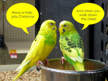 Preview of A Holly Jolly Christmas - Sung by Lovely Animals (Lyrics in Speech Bubbles)