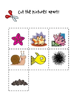 A House For Hermit Crab Activity Pack (Distance Learning) by Neha Chopra