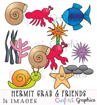 hermit crab clip art