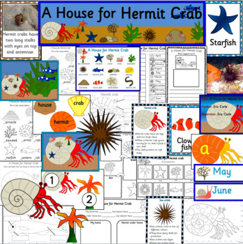 Preview of A House for Hermit Crab story book study
