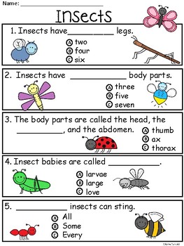 A+ Insects Comprehension: Differentiated Instruction For Guided Reading